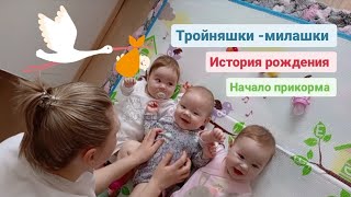 Кушаем кашу под мамины рассказы😉🥰История рождения тройняшек 👶👶👶