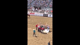 Calgary Stampede Cowboy Snaps Cow's Neck with Bare Hands 💔