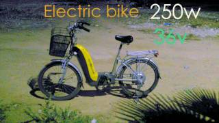 Vélo électrique 36v