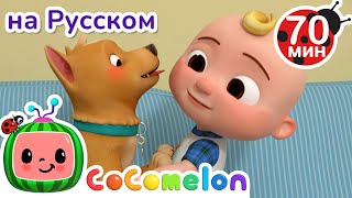 Собачья охота | Детские Песенки CoComelon