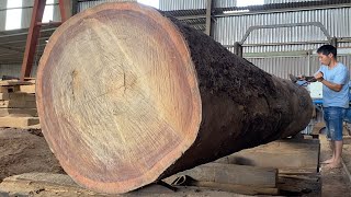 The Oldest Large Wood Processing Factory in Vietnam. Cutting the World's Rarest Wood Trees