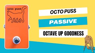 Octo Puss A Unique Octave Up Pedal