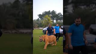 Bengal Tiger is Very Easy to Tame | Nouman Hassan