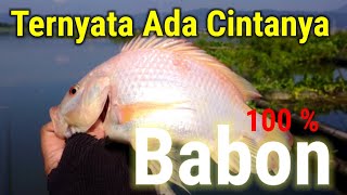 Nila Merah || Mancing Rawa Pening Terbaru