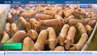 Программа "Агробизнес" от 27 июля 2014 года