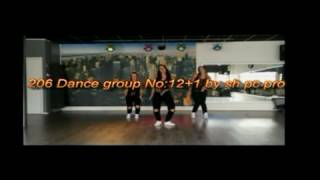 206 Dance group No 12+1 by sh pc pro