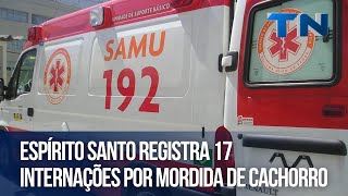 Espírito Santo registra 17 internações por mordida de cachorro