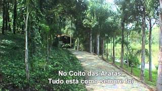 Coito Das Araras (Cátia De França) Interprete: Paulo Bergo