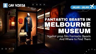 Fantastic Beasts in Melbourne Museum | Ngeliat Langsung Prop film Fantastic Beasts