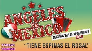 Los Angeles De Mexico - Tiene espinas el rosal │ Homenaje Angeles Azules