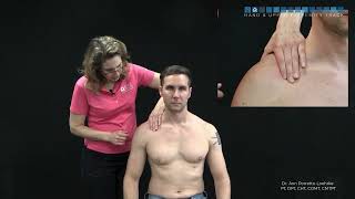 Shoulder: Paxino's sign