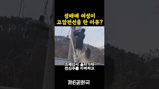 성매매 지원금 시위 근황