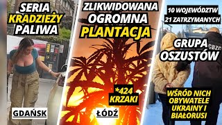 Akcja CBŚP - Księża Przyłapani na Nielegalnym Handlu - Międzynarodowa Grupa Oszustów Wiadomości