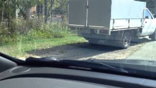 Red-Bellied Black Snake Windshield Wipers [NSFW Language]