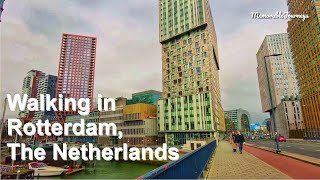 Walking in Rotterdam, Netherlands [4K] 2023