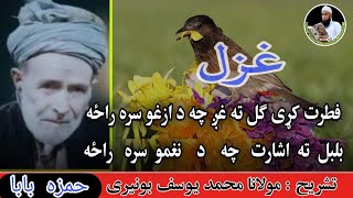 Fitrat ki Gul ta ghag che da azgho sara raza | Hamza Baba | Molana Muhammad yousuf Buniri | Latoon