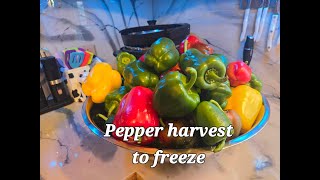 Garden Fresh Peppers: Stocking the Freezer