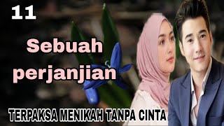 Ep11 Terkena Bujuk Rayu Mantan • Novel Romantis