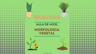 Biologia - REINO VEGETAL: Morfologia Vegetal