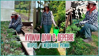 🏡 Купили дом в деревне / Ежедневная рутина в огороде