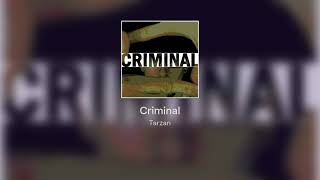 Do you want the full cover? (BreZ - Criminal)