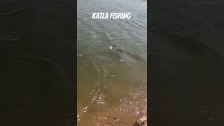 Katla Fish#Fish #fishing #shortvideo