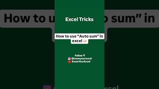 Auto Sum Function in excel !!