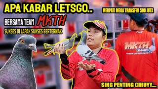 APA KABAR MERPATI LETSGO DAN INI PLAYER MKTH ALIAS MAKAN TAHU