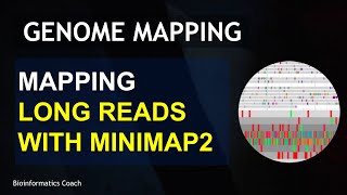 Minimap2 Tutorial for Mapping Long Reads (ONT)  Reads in Linux