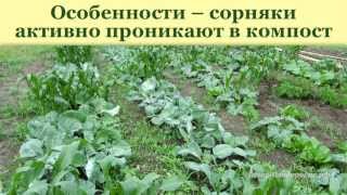 Выращивание картофеля.  Органические траншеи