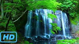 Refreshing Deep Green Forest Waterfall  [2K]. Calm, Meditation, Relax, Sleep, Beat Insomnia, ASMR 5h