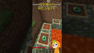 마인크래프트인데, 테무에서 산 마크 반응 #shorts #minecraft