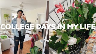 a few college days in my life | new plant, Christmas shopping, + homegoods haul!!