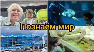 Екатеринбург/Изучаем городской транспорт/Океан на Урале/Лекция под водой/Встреча с дайвером и др...