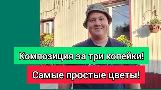 Сам не ожидал такой красоты!