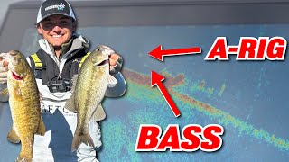 How To Catch MORE BASS On A-Rigs! (Livescope)