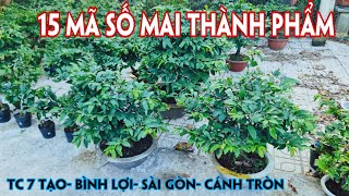 14/10. Mai Chơi Tết Để Bàn Đế Đẹp- Tàn Đẹp Giá Rẻ.☎Trang 0359910781