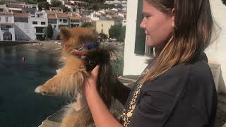 Vulcanitu & Mia show you Cadaques