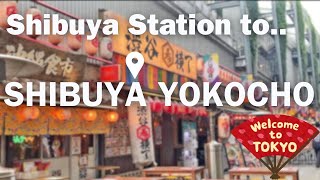 Quick Tour Guide to A stretch of restaurant and pick-up spot in Tokyo from Shibuya Station