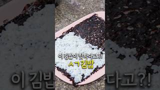 이 김밥이 핫하다고?