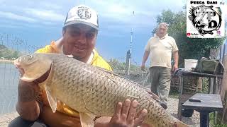 momentos de la pesca isla santiago en lo de Elsa i Roberto tiempo loco pero al final hermoso