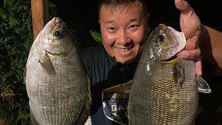 Catch And Cook Nenue aka Grey Chub, Hawaii