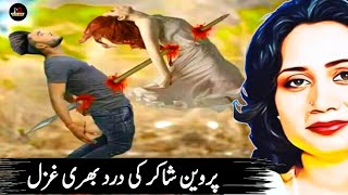 Parveen Shakir Urdu Ghazal |Phir Youn Hua Ky Sath Tera Chorna Para| Sad Urdu Ghazal | Hindi Shayari