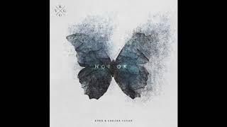 Kygo & Chelsea Cutler - Not Ok (Official Audio)