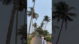 The Reality of Parra Road | Goa | Famous tourist places | #goa #parraroad #goavlog #northgoa #vlogs