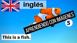 Aprende inglés básico para principiantes parte 5 | Aprende inglés rápido con imágenes#5