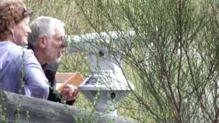 Brohler Bird Watching Station im Nationalpark Eifel