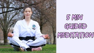 5 Minute Guided Meditation for Anxiety, Stress, Overwhelm