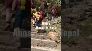 Hiking Annapurna Circuit Nepal🥾#annapurna #hiking #nepal #shorts #shortsvideo #trekking #adventure