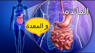 المائدة و المعدة. شحال من وجبة ناكلو في رمضان. وما الحل لحرقة و حموضة المعدة